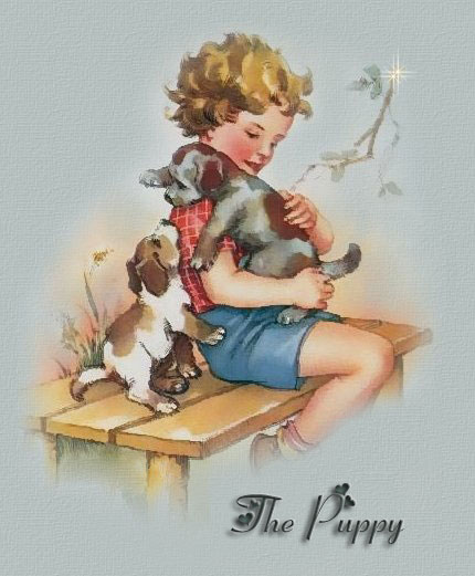 The Puppy