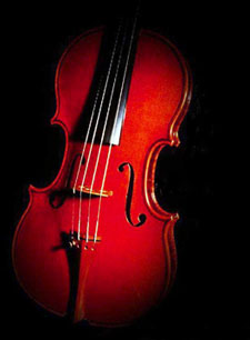 Clear Vision Bible Studies